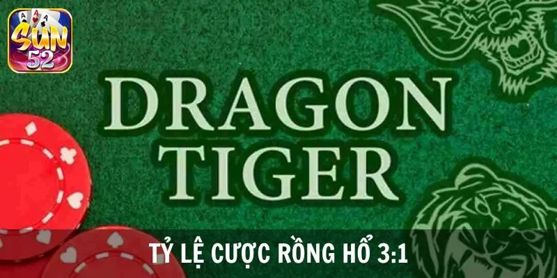 Các cửa cược trong trò chơi Dragon Tiger SUN52